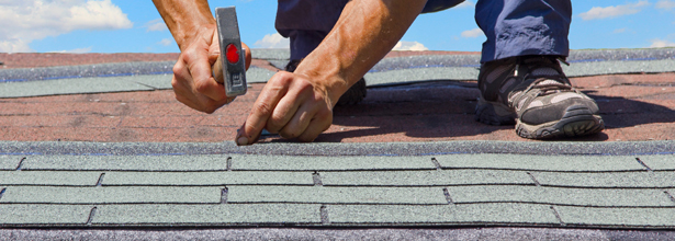 Roofing Contractor Roofing Contractor